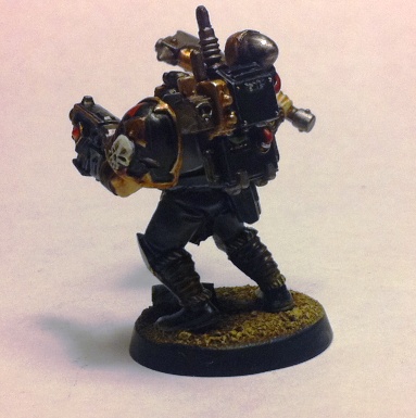 Wolf Scout 004.jpg