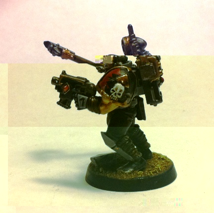 Wolf Scout 005.jpg