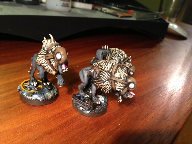 kroothounds1.JPG