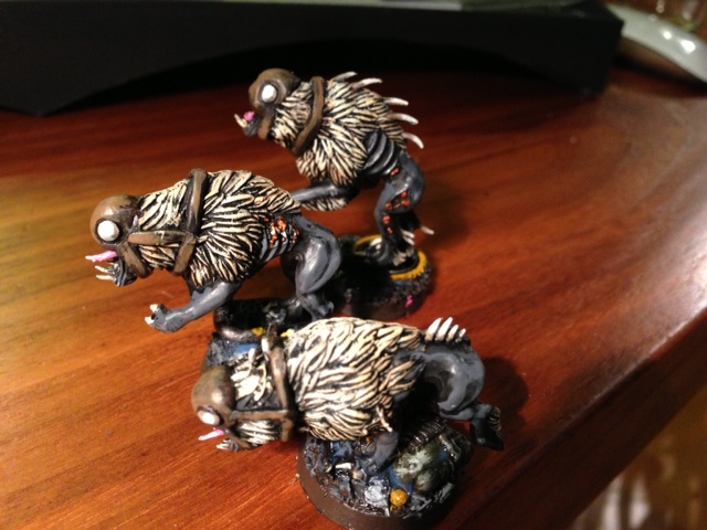 kroothounds2.JPG