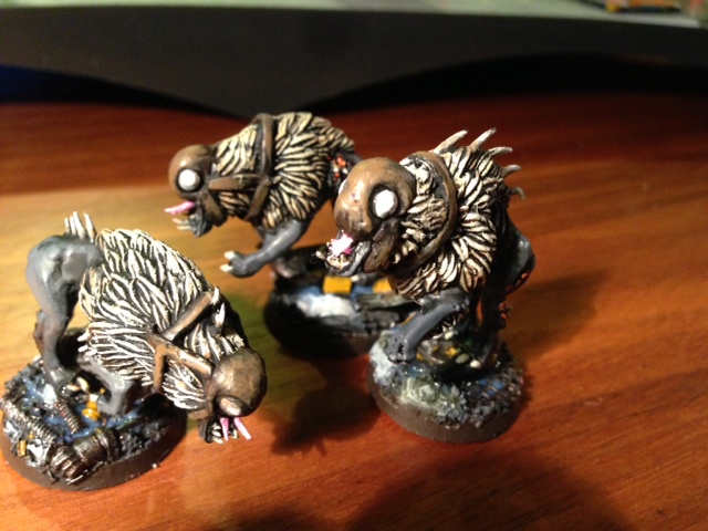 kroothounds3.JPG