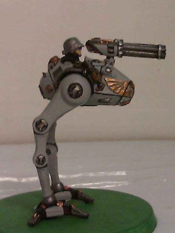 eggsentinel2.jpg